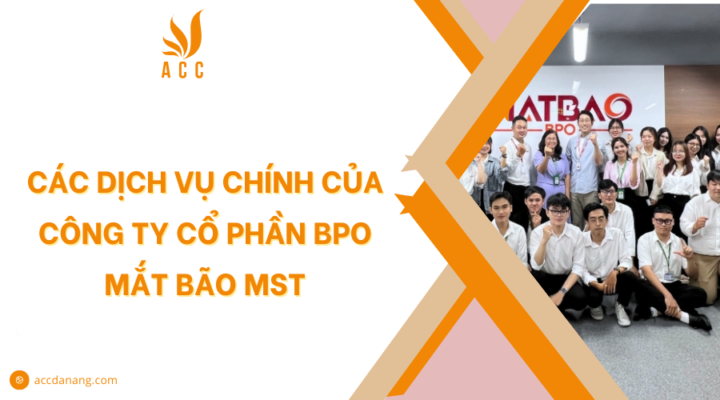 Các dịch vụ chính của Công ty cổ phần BPO Mắt Bão MST