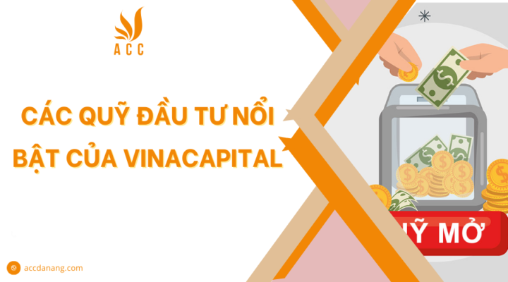 Các quỹ đầu tư nổi bật của Vinacapital