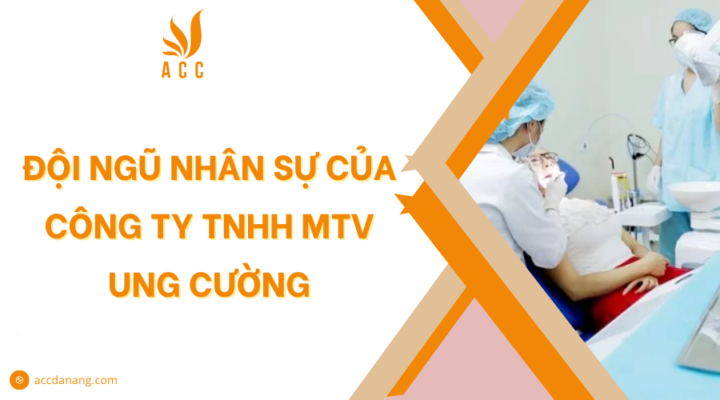 Đội ngũ nhân sự của Công ty TNHH MTV Ung Cường