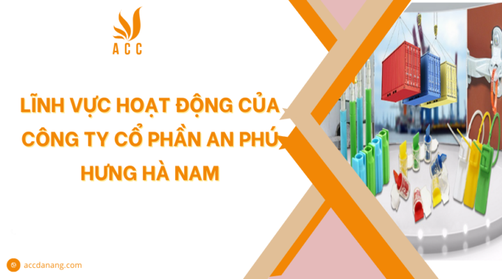 Lĩnh vực hoạt động của Công ty Cổ phần An Phú Hưng Hà Nam