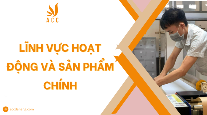 Lĩnh vực hoạt động và sản phẩm chính