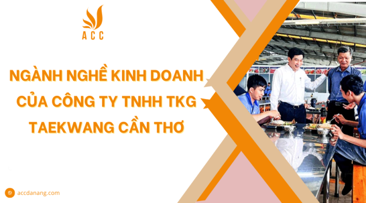 Ngành nghề kinh doanh của Công Ty TNHH TKG Taekwang Cần Thơ