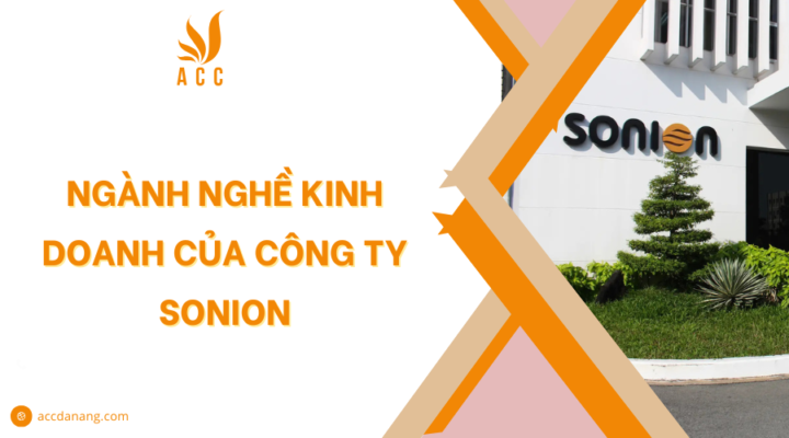 Ngành nghề kinh doanh của Công ty Sonion