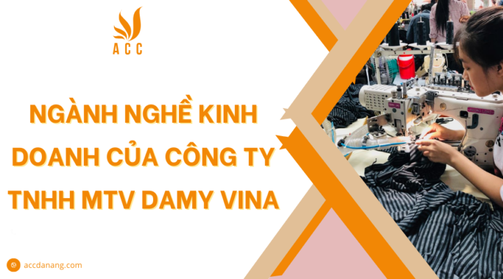 Ngành nghề kinh doanh của Công ty TNHH MTV Damy Vina