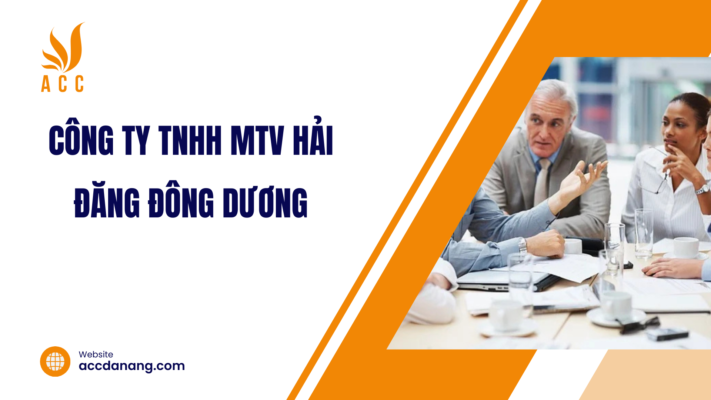 công ty tnhh mtv hải đăng đông dương