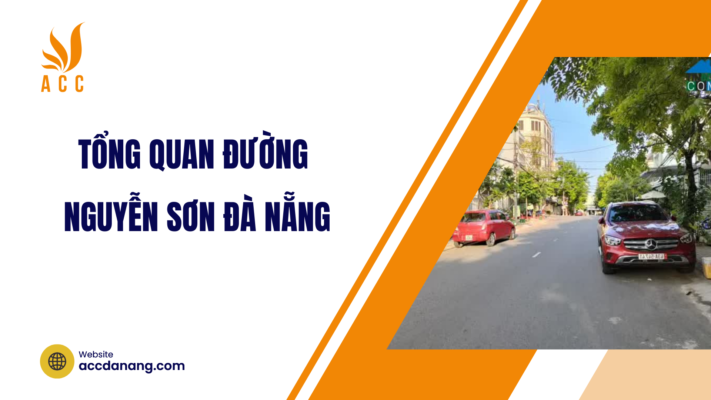 đường nguyễn sơn đà nẵng