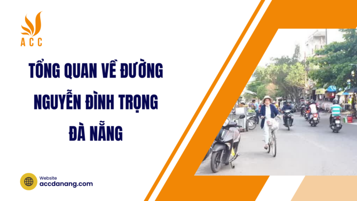đường nguyễn đình trọng đà nẵng