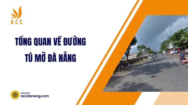 đường tú mỡ đà nẵng