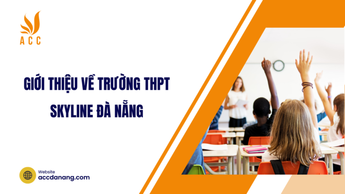 Giới thiệu về trường THPT Skyline Đà Nẵng 