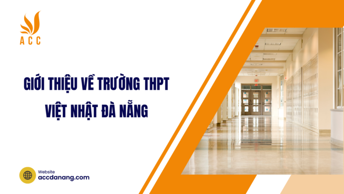 Giới thiệu về trường THPT Việt Nhật Đà Nẵng 