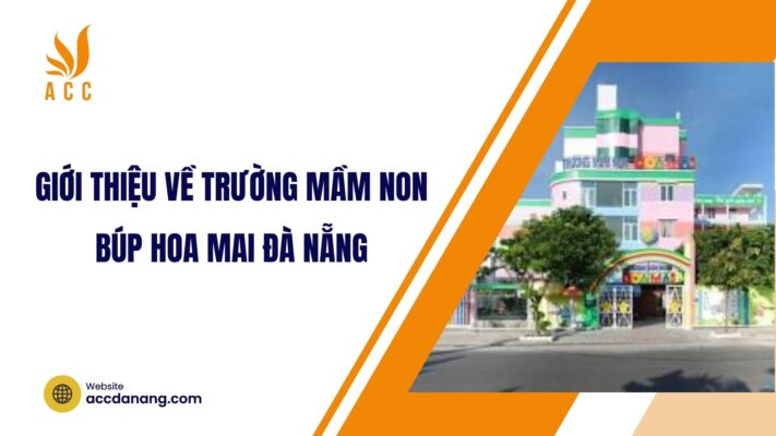 trường mầm non búp hoa mai đà nẵng