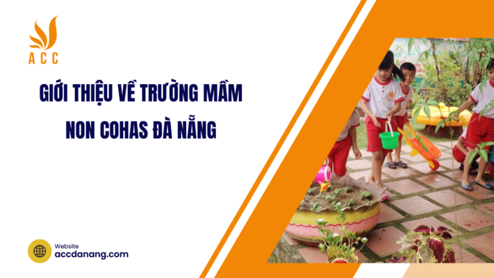 trường mầm non cohas đà nẵng