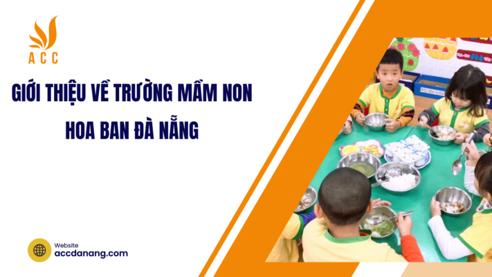 trường mầm non hoa ban đà nẵng