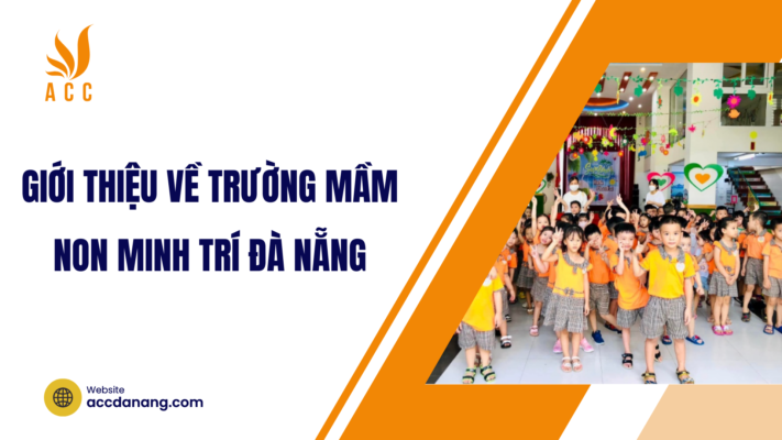 trường mầm non minh trí đà nẵng