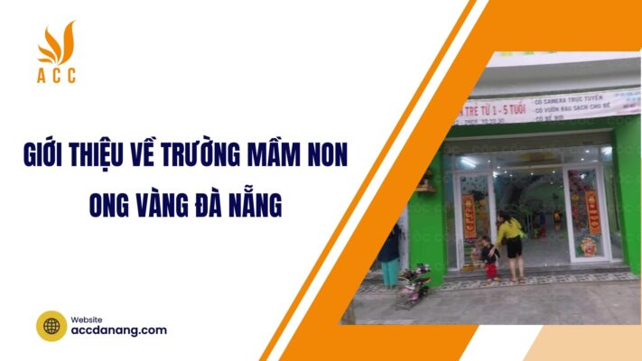 trường mầm non ong vàng đà nẵng