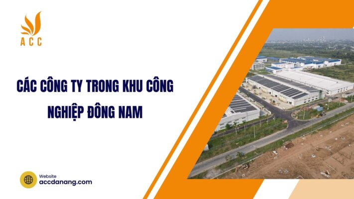 Các công ty trong khu công nghiệp Đông Nam.jpg