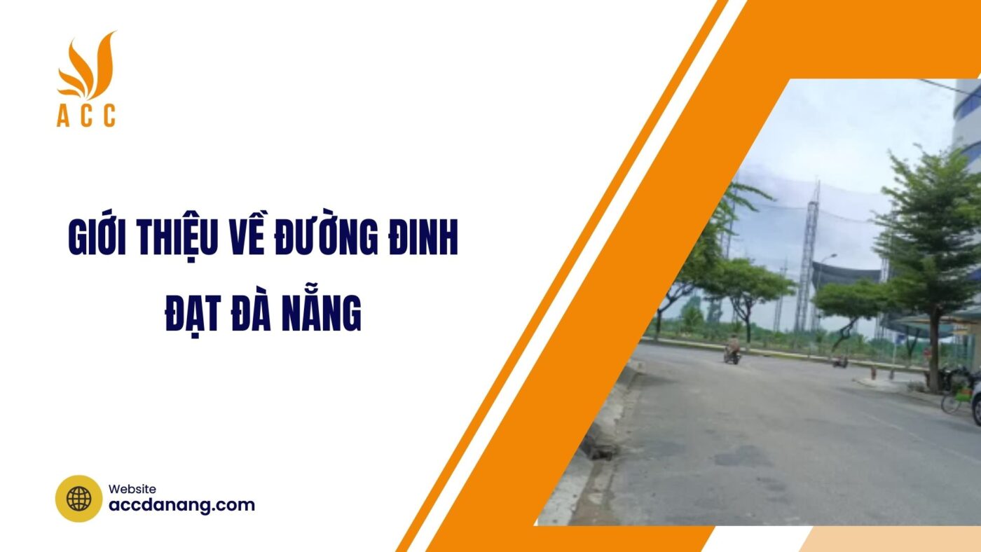 Giới thiệu về đường Đinh Đạt Đà Nẵng.jpg