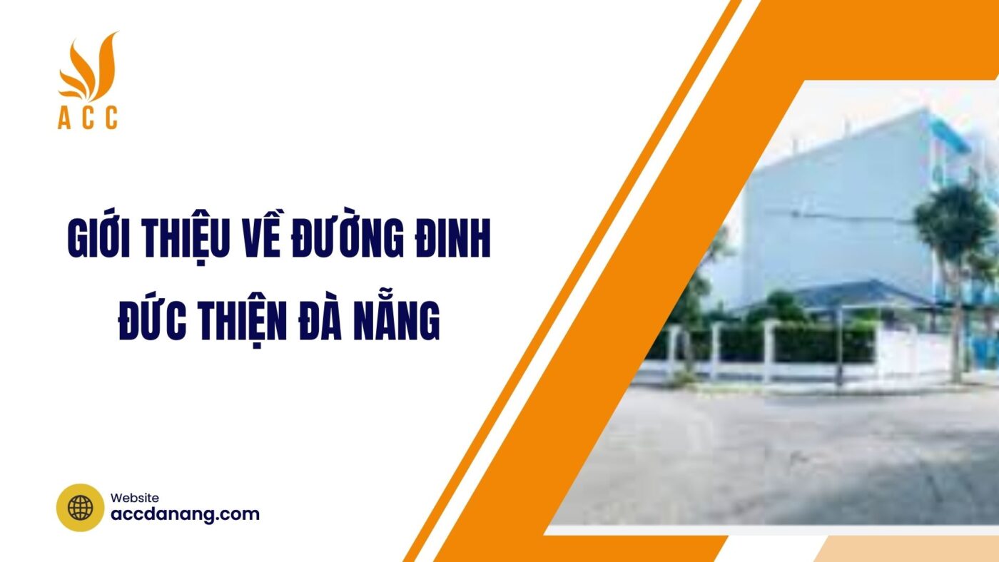 Giới thiệu về đường Đinh Đức Thiện Đà Nẵng.jpg