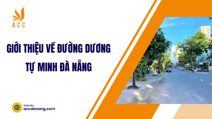 Giới thiệu về đường Dương Tự Minh Đà Nẵng
