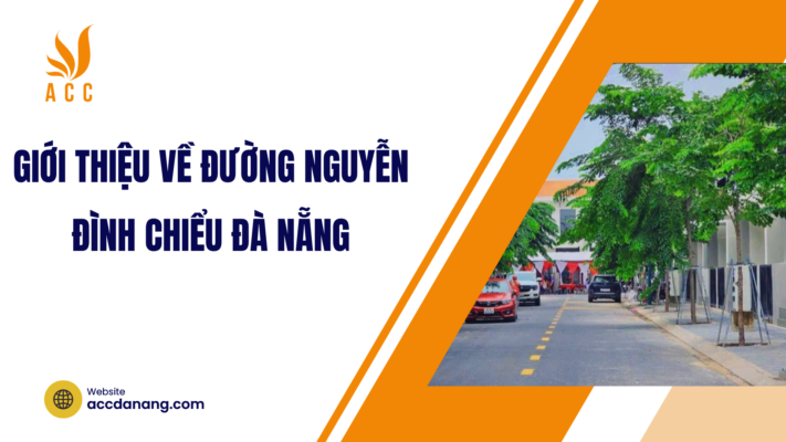 đường nguyễn đình chiểu đà nẵng