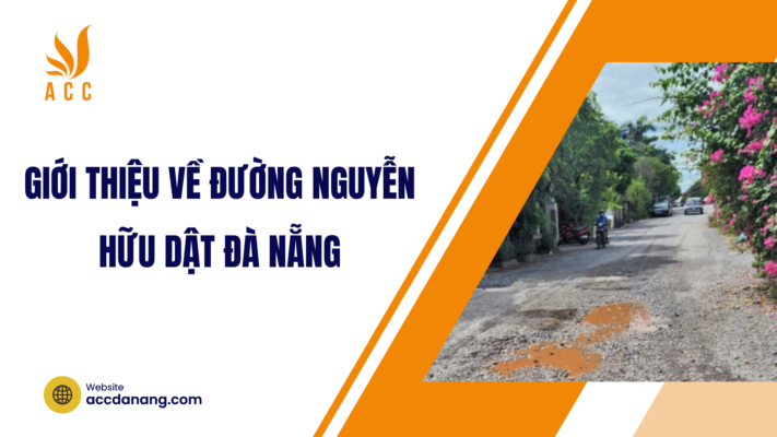 đường nguyễn hữu dật đà nẵng