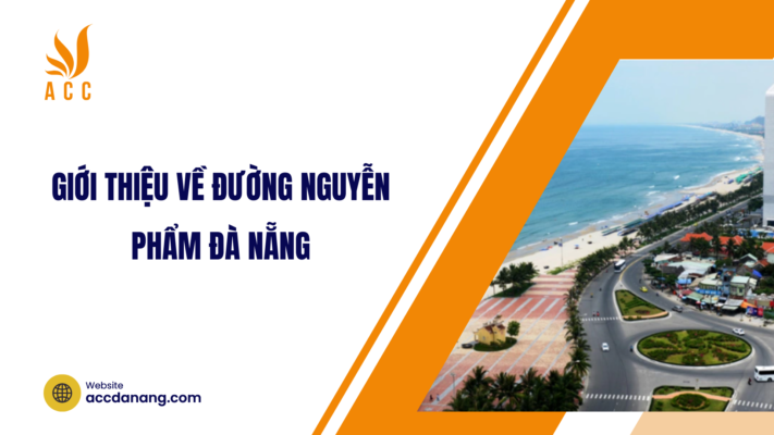 đường nguyễn phẩm đà nẵng
