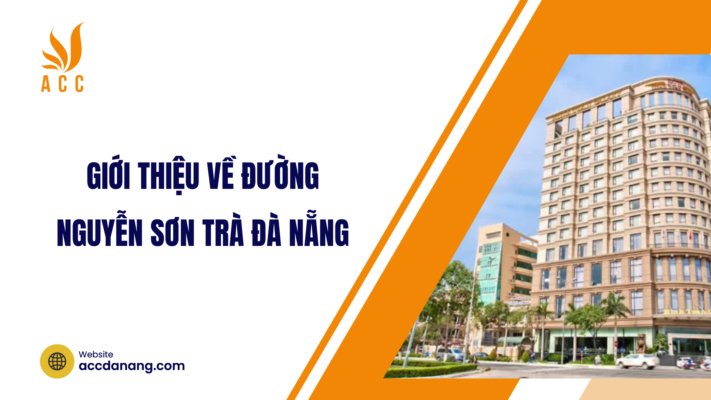 đường nguyễn sơn trà đà nẵng