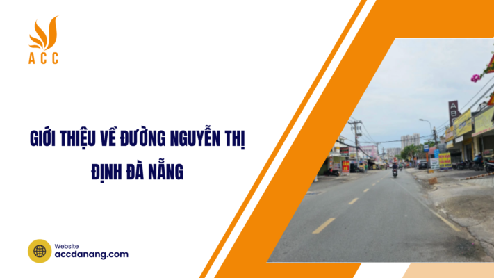 đường nguyễn thị định đà nẵng
