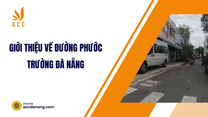 Giới thiệu về đường Phước Trường Đà Nẵng.jpg