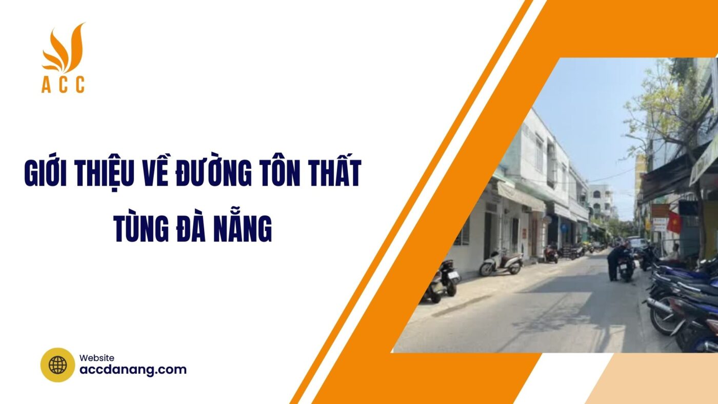 Giới thiệu về đường Tôn Thất Tùng Đà Nẵng.jpg