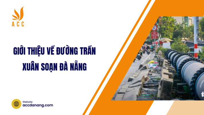 đường trần xuân soạn đà nẵng