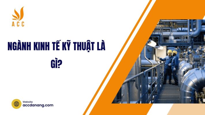 Ngành Kinh tế kỹ thuật là gì?.jpg