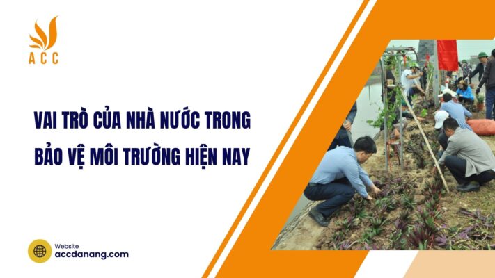 Vai trò của nhà nước trong bảo vệ môi trường hiện nay.jpg