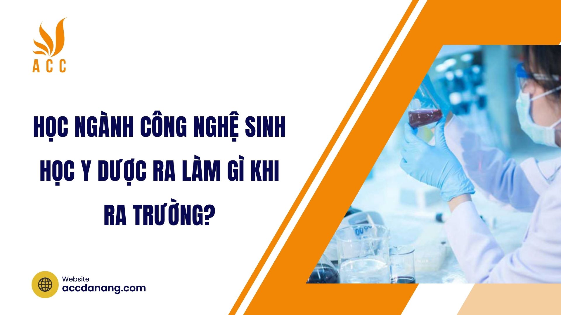 Học ngành Công nghệ sinh học y dược ra làm gì khi ra trường?