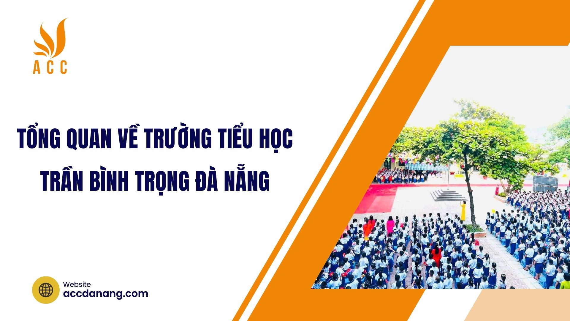 Tổng quan về Trường tiểu học Trần Bình Trọng Đà Nẵng