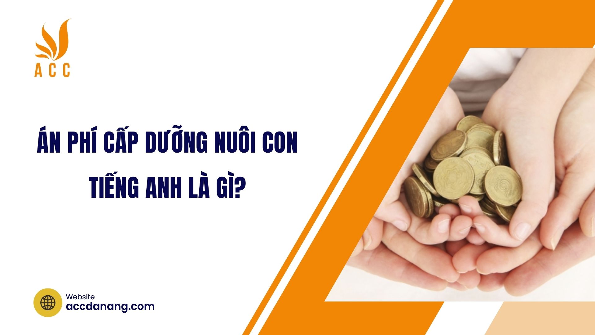 Án phí cấp dưỡng nuôi con tiếng Anh là gì?