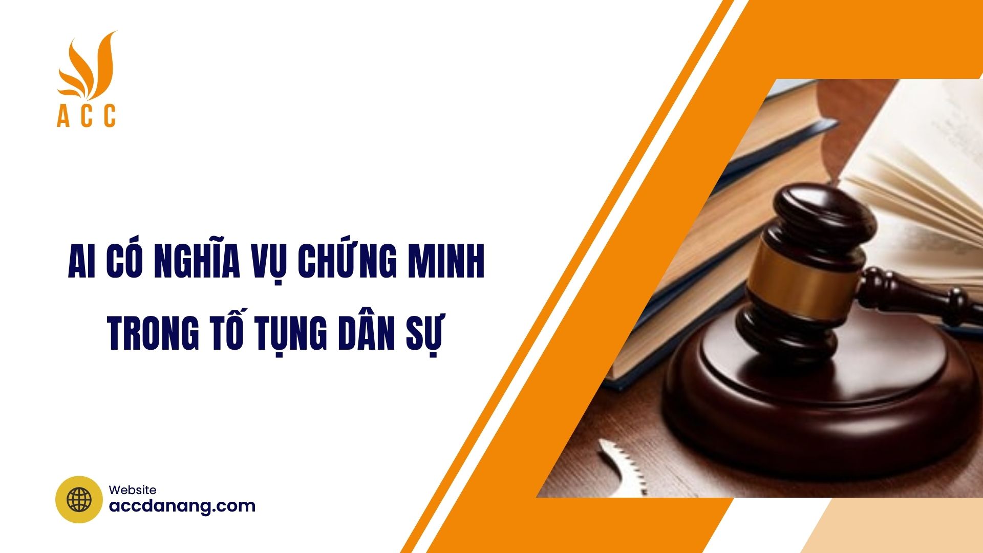 Ai có nghĩa vụ chứng minh trong tố tụng dân sự