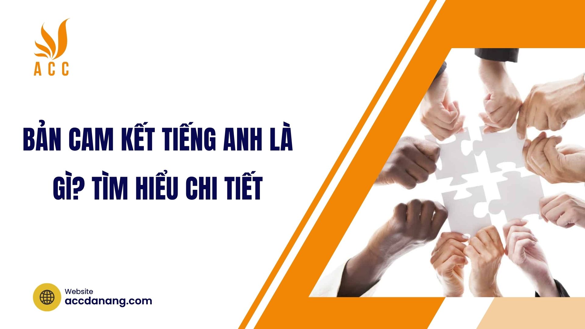 Bản cam kết Tiếng Anh là gì? Tìm hiểu chi tiết