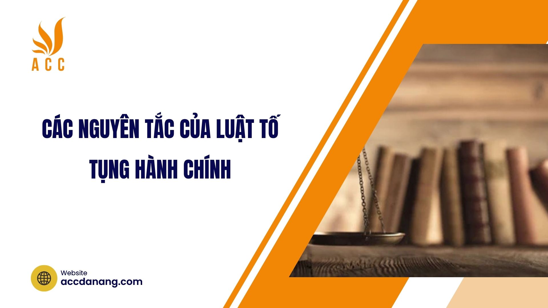 Các nguyên tắc của luật tố tụng hành chính