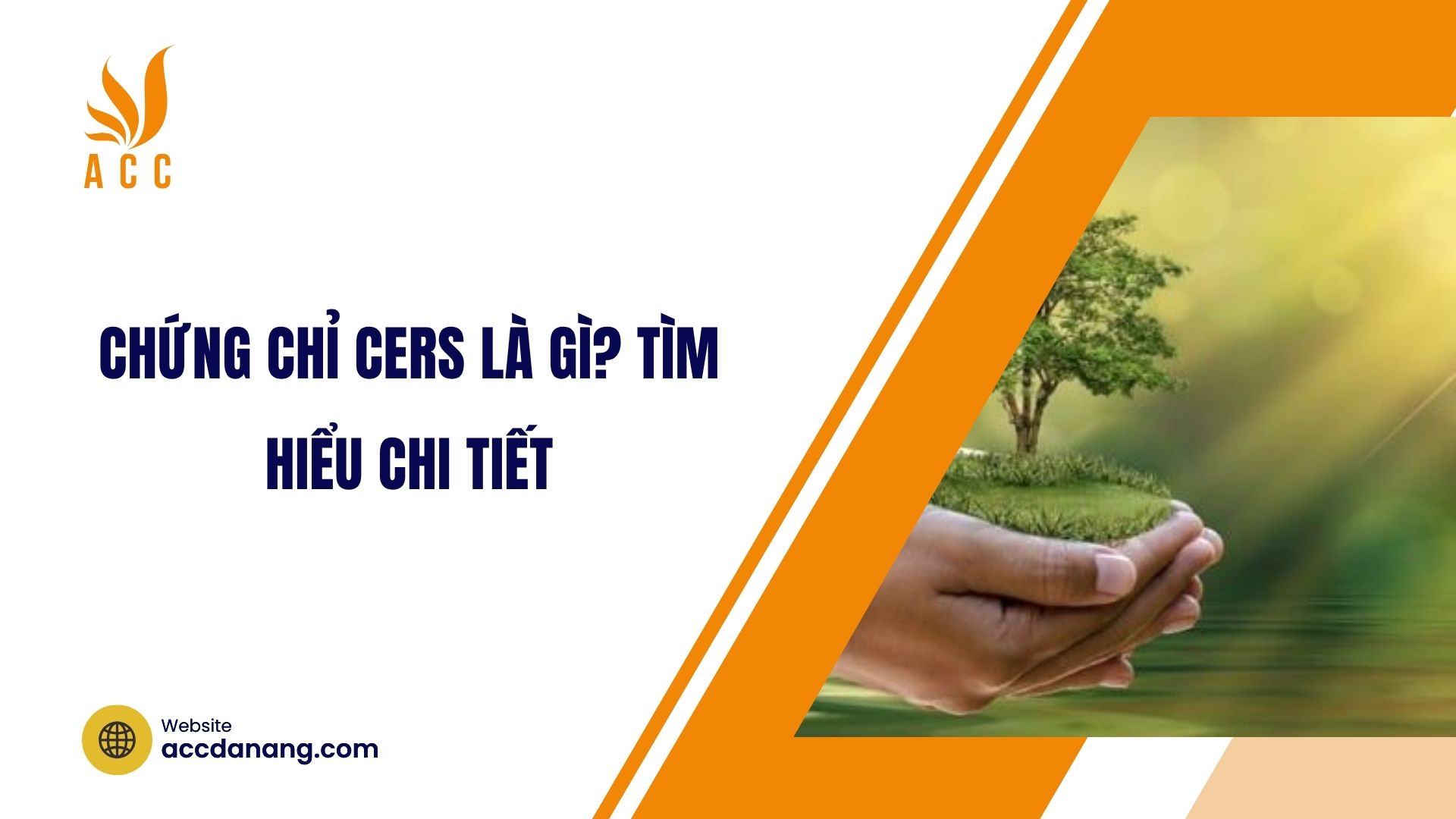 Chứng chỉ CERS là gì? Tìm hiểu chi tiết