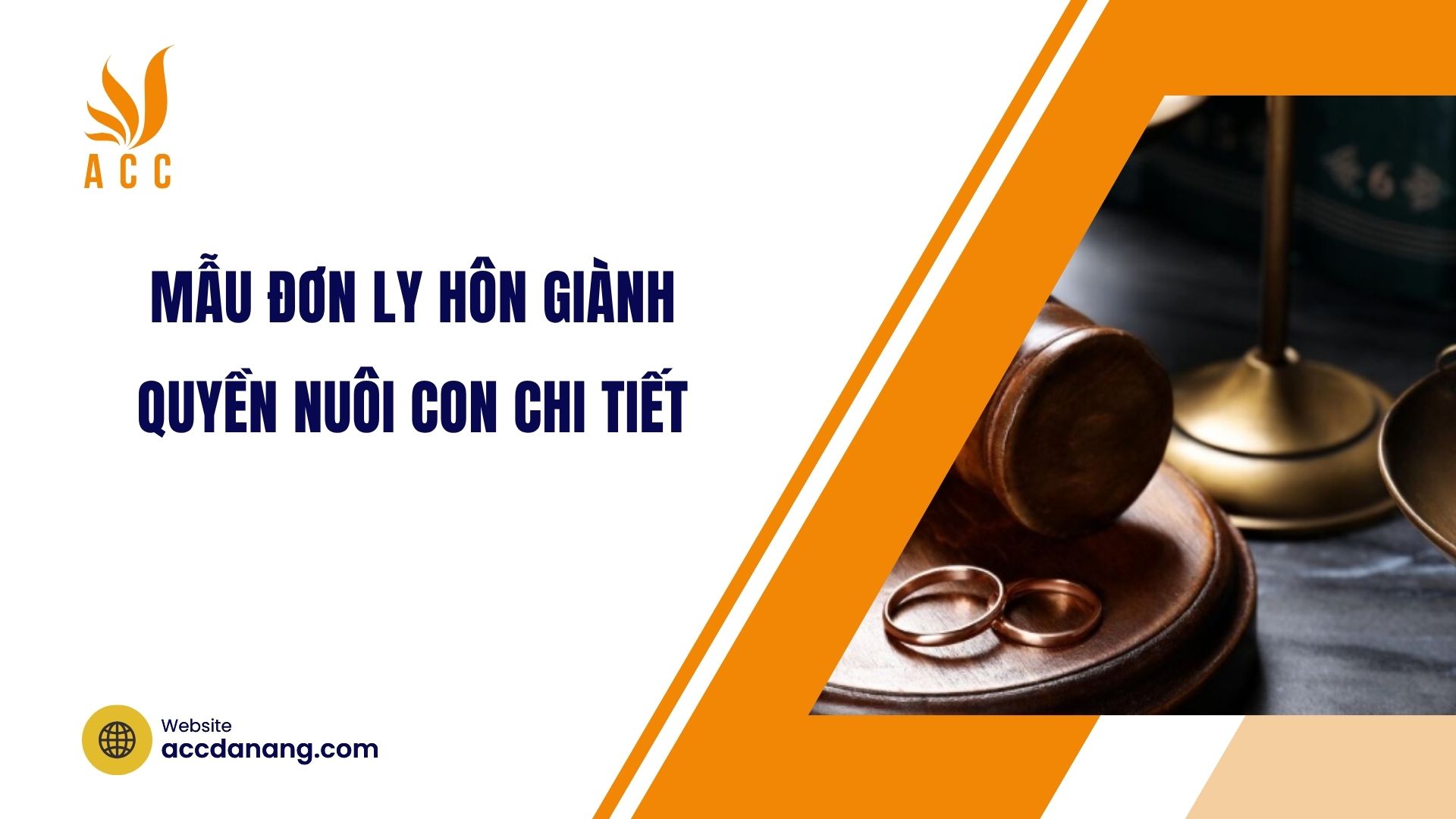 Mẫu đơn ly hôn giành quyền nuôi con chi tiết