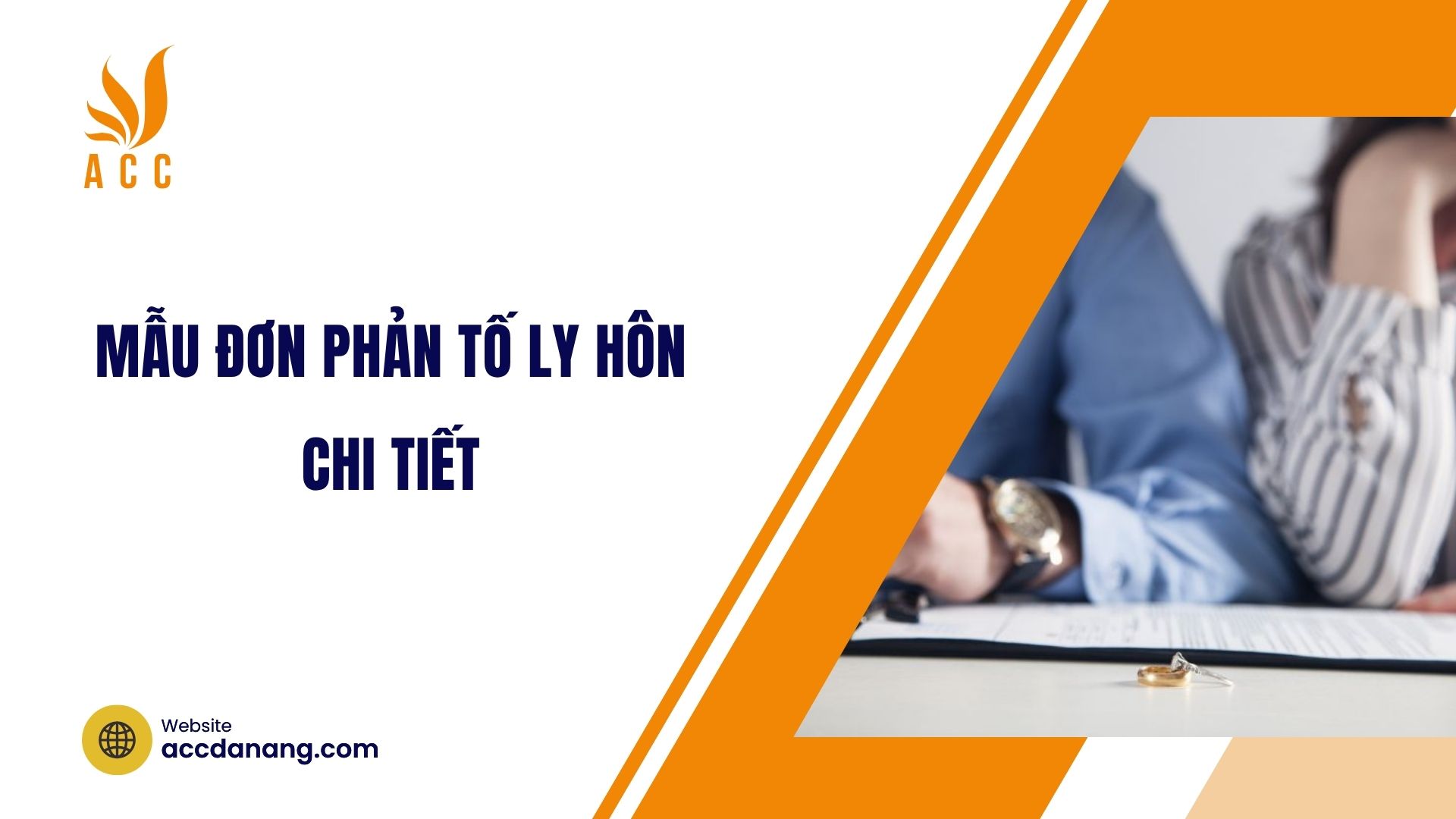 Mẫu đơn phản tố ly hôn chi tiết