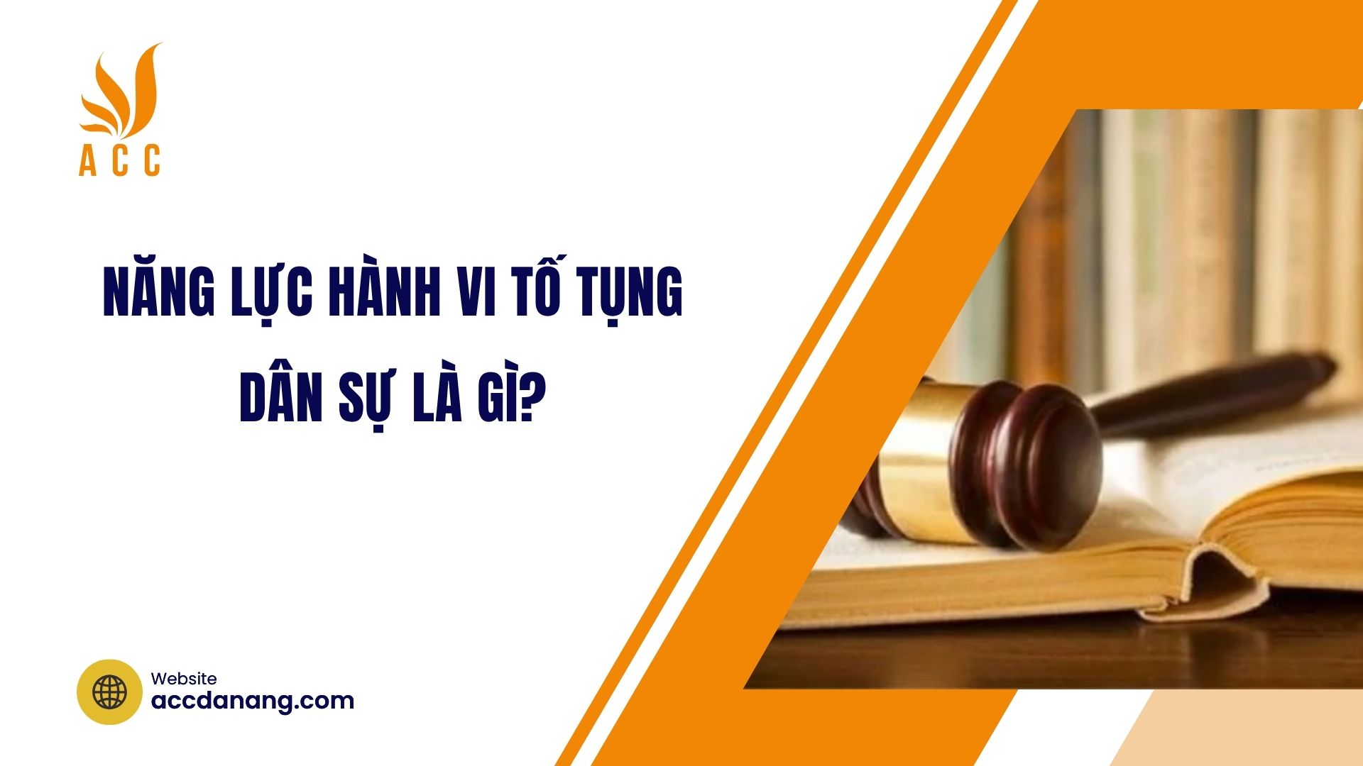 Năng lực hành vi tố tụng dân sự là gì?