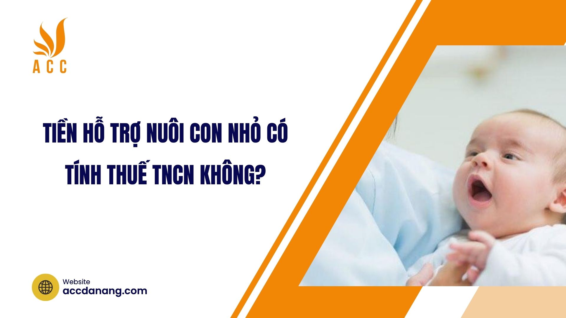 Tiền hỗ trợ nuôi con nhỏ có tính thuế TNCN không?