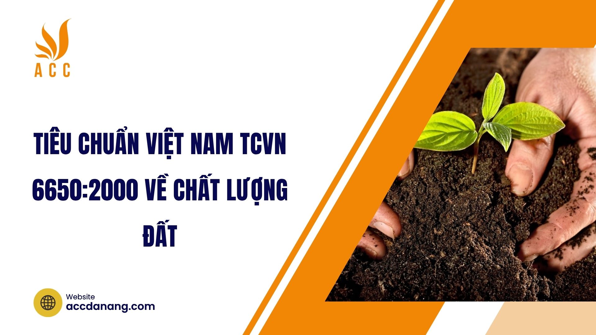 Tiêu chuẩn Việt Nam TCVN 6650:2000 về chất lượng đất