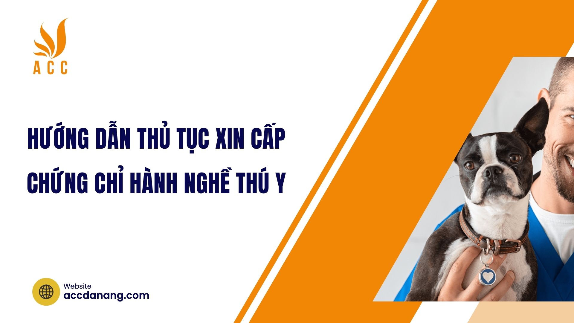 Hướng dẫn thủ tục xin cấp chứng chỉ hành nghề thú y