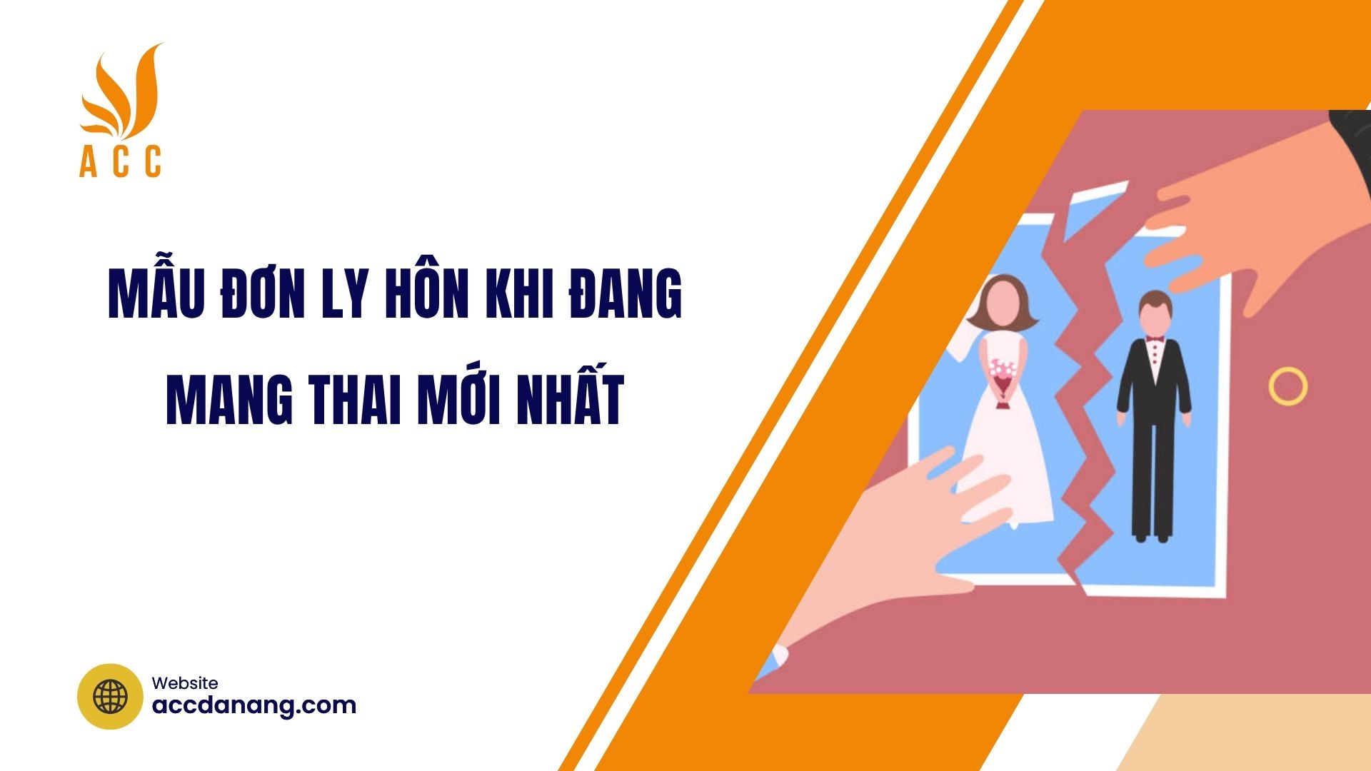 Mẫu đơn ly hôn khi đang mang thai mới nhất
