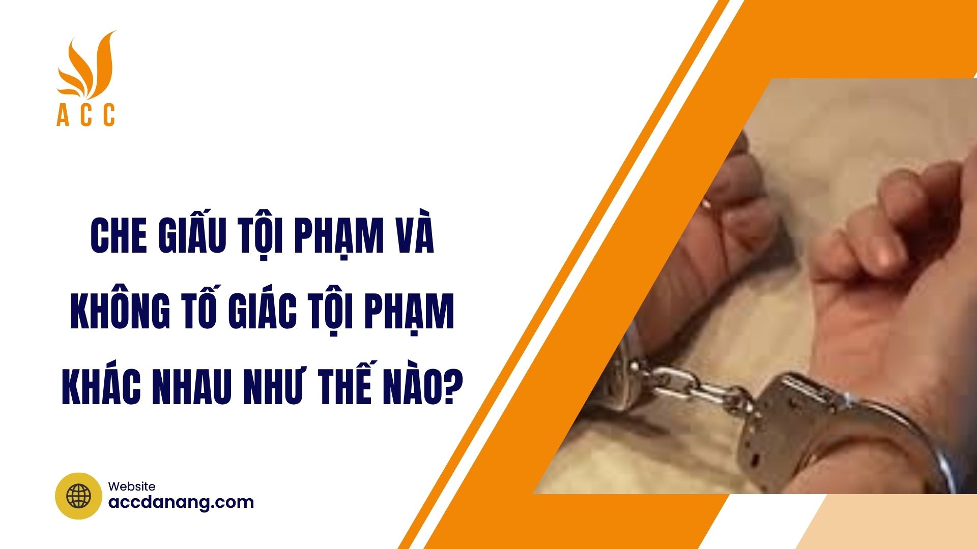 Che giấu tội phạm và không tố giác tội phạm khác nhau như thế nào?