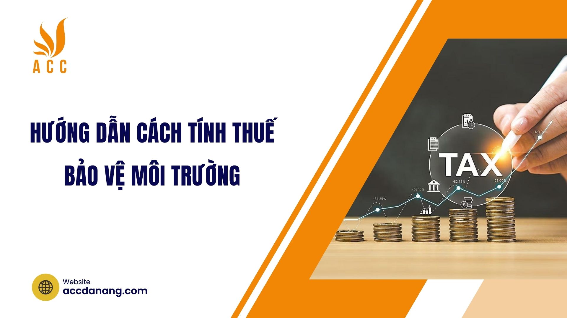 Hướng dẫn cách tính thuế bảo vệ môi trường