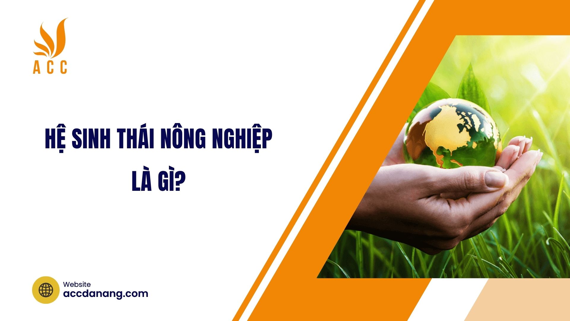 Hệ sinh thái nông nghiệp là gì?
